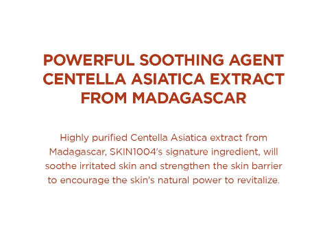 SKIN1004 - Madagascar Centella Poremizing Deep Cleansing Foam (125 mL).