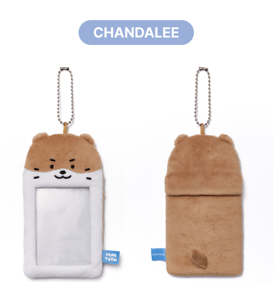 Seventeen - Miniteen Photocard Holder (13 Options).