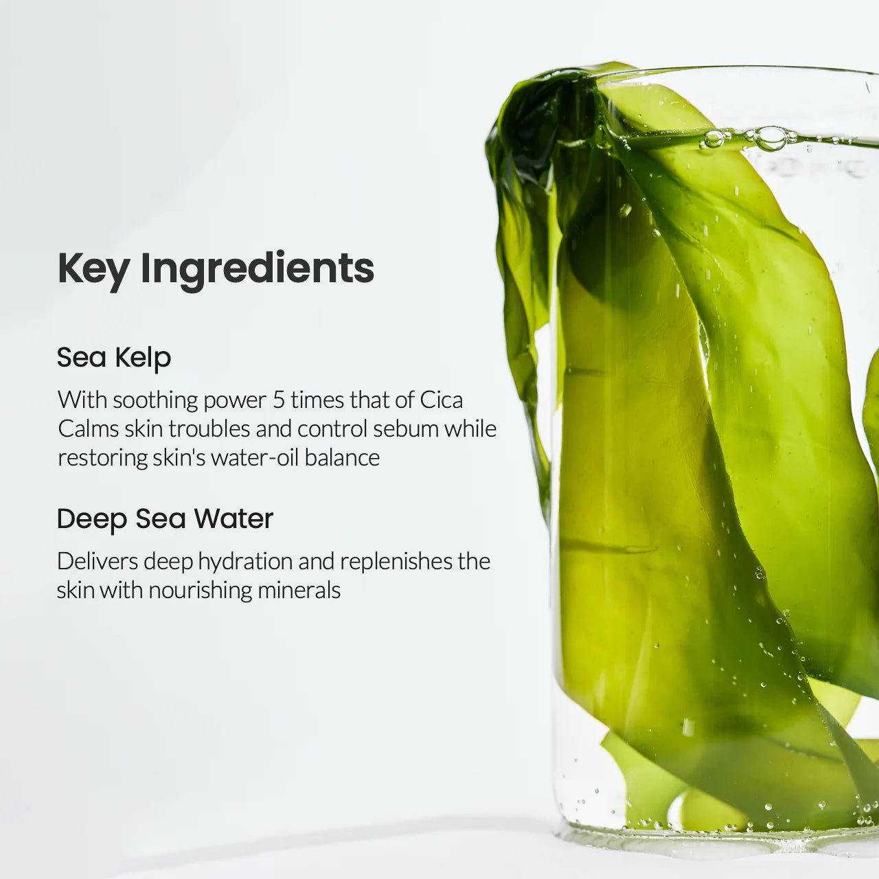 Biodance - Refreshing Sea Kelp Real Deep Mask Set (4 pcs)