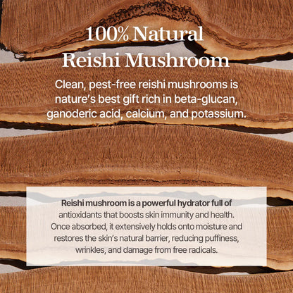 mixsoon - Reishi Mushroom Essence (100 mL).