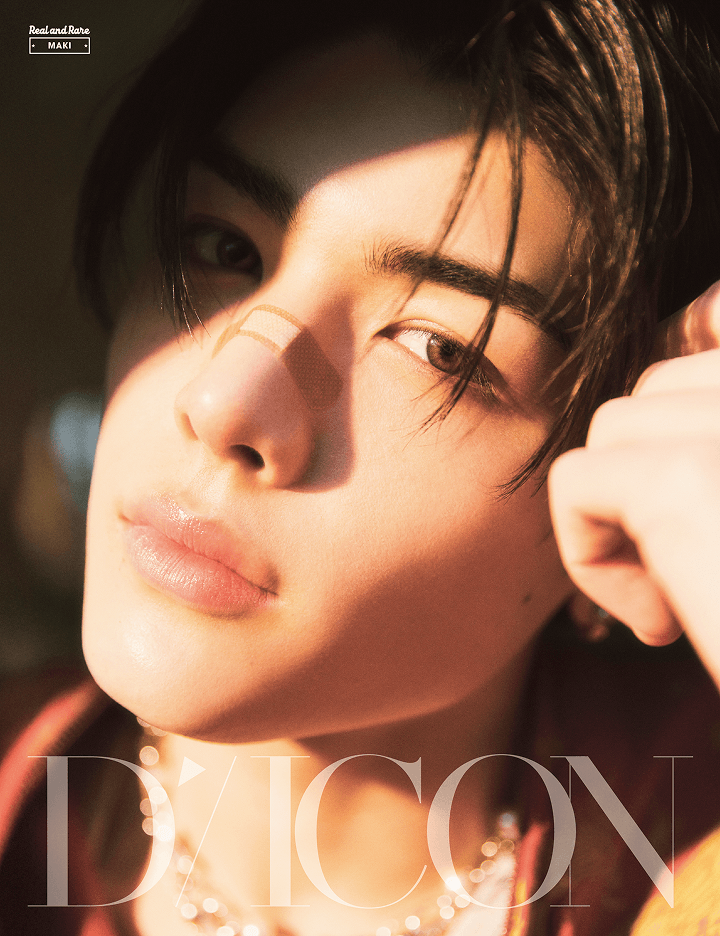 DICON - VOLUME N°28 &TEAM (18 Versions)(Magazine)