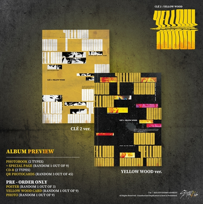 Stray Kids 1st Special Album CLE 2 (Clé 2) : YELLOW WOOD Stray Kids 1st Special Album CLE 2 (Clé 2) : YELLOW WOOD