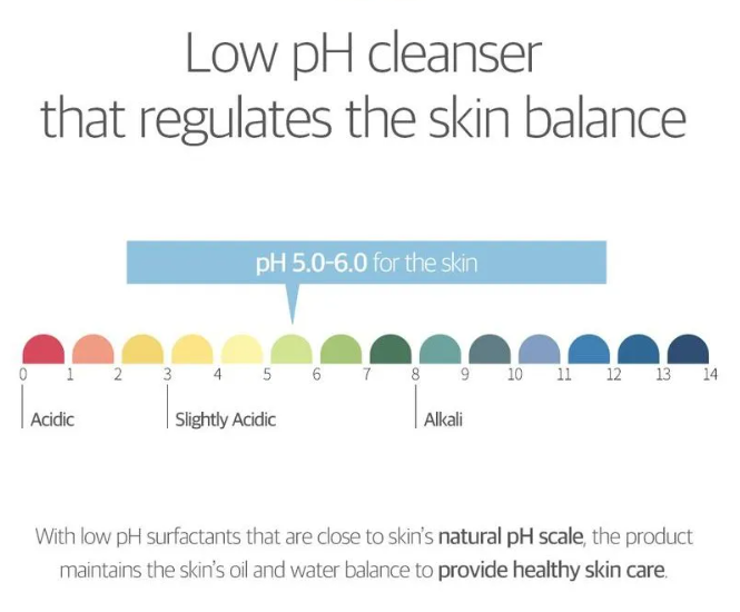 Round Lab - Birch Juice Moisturizing Cleanser - 150ml.