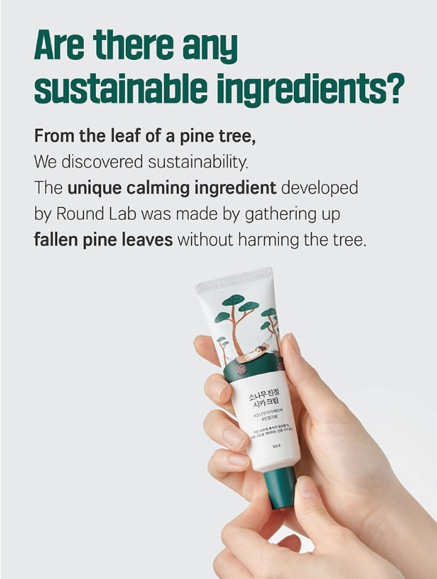 Round Lab - Pine Calming Cica Cream - 50 mL.