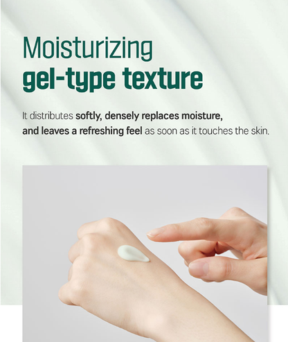 Round Lab - Pine Calming Cica Cream - 50 mL.