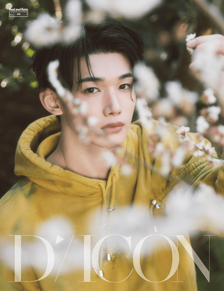 DICON - VOLUME N°28 &TEAM (18 Versions)(Magazine)