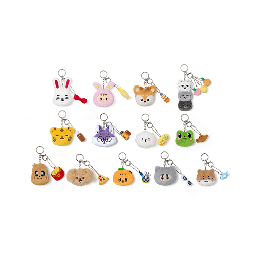 (PRE-ORDER 2025-08-01) Seventeen - [Miniteen] Face Plush Keyring (13 Options).