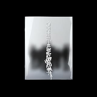 ENHYPEN - 6th Mini Album [Desire : Unleash] (3 Versions)(applemusic POB: Photocard 1ea Included - Limited Quantity)