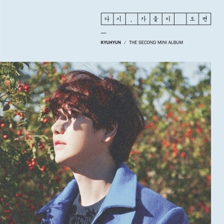 Kyuhyun (Super Junior) 2nd Mini Album Fall, Once Again (다시, 가을이 오면).