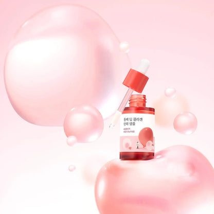 Round Lab - Camellia Deep Collagen Firming Ampoule (30 mL)