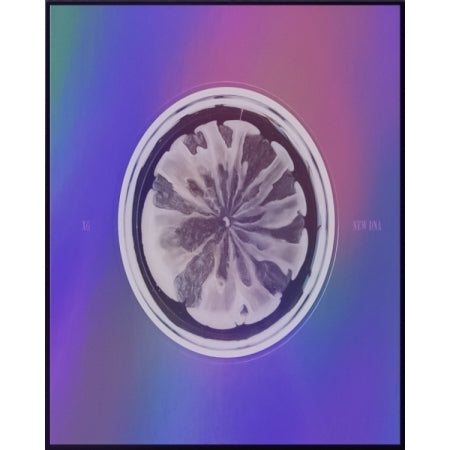XG - 1st MINI ALBUM [NEW DNA] (2 Versions).