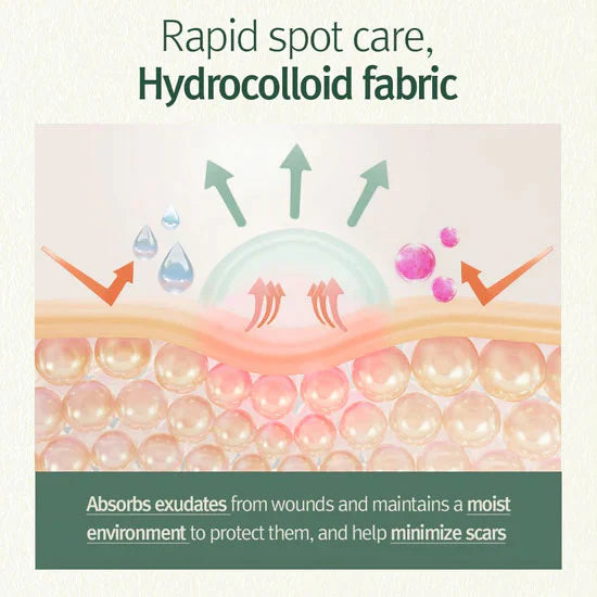 Pyunkang Yul - Clear Spot Patch (72 pcs)