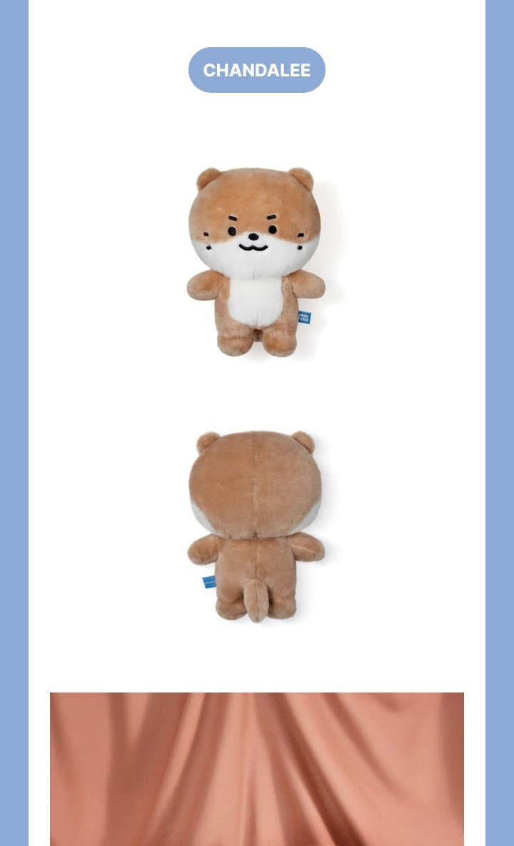 Seventeen - [Miniteen] Plush Toy (13 Options).