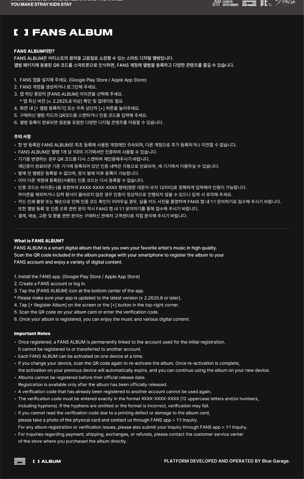 Stray Kids - [THIS & THAT] FANS ALBUM Version (Smart Digital Album