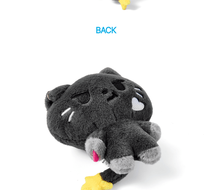(PRE-ORDER 2026-08-30) ENHYPEN - [ENCHIN Official Merch] Plush Keyring (6 Versions)