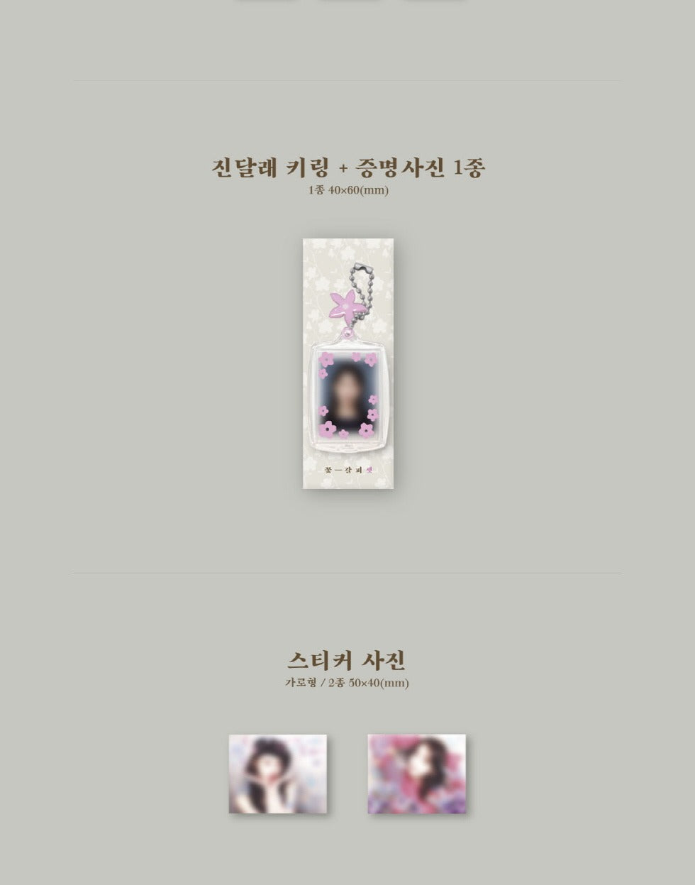 IU - 3rd Remake Album [KKOT-GALPI 3].